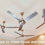 Top Bajaj Fans to Keep You Cool and Comfortable